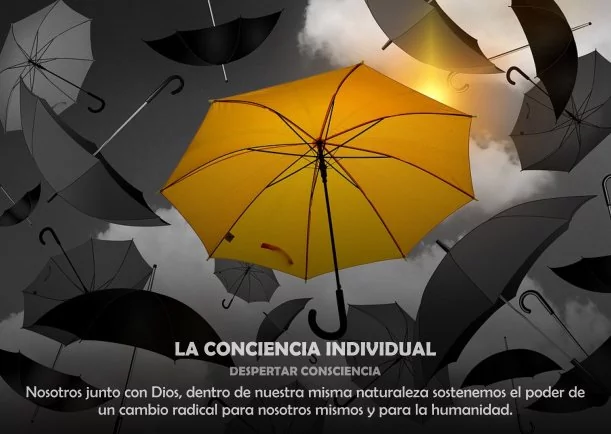 Imagen; La conciencia individual; Despertar Consciencia