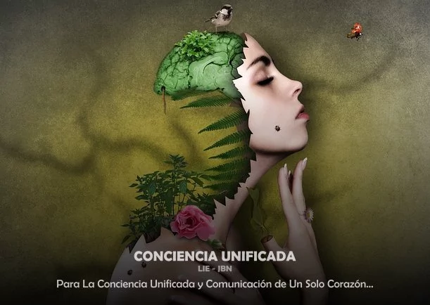 Imagen; Conciencia unificada; Jbn Lie