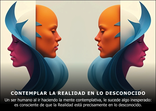 Contemplar la realidad en lo desconocido - POR: CONSUELO MARTIN
