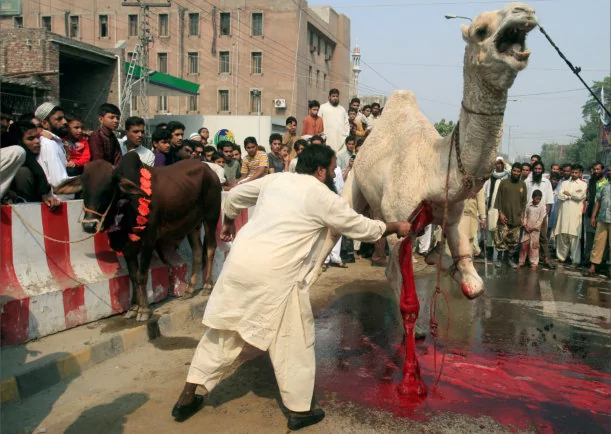 Imagen; Crueldad de una creencia religiosa; Sobre La Religion