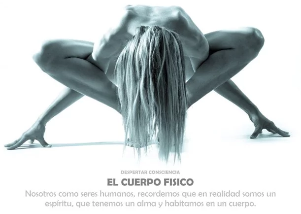 Imagen; El cuerpo físico; Despertar Consciencia