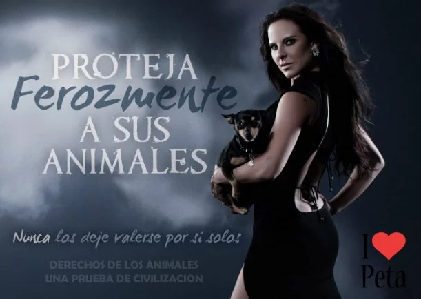 Imagen del escrito; El derecho de los animales la prueba de civilización, de Jbn Lie