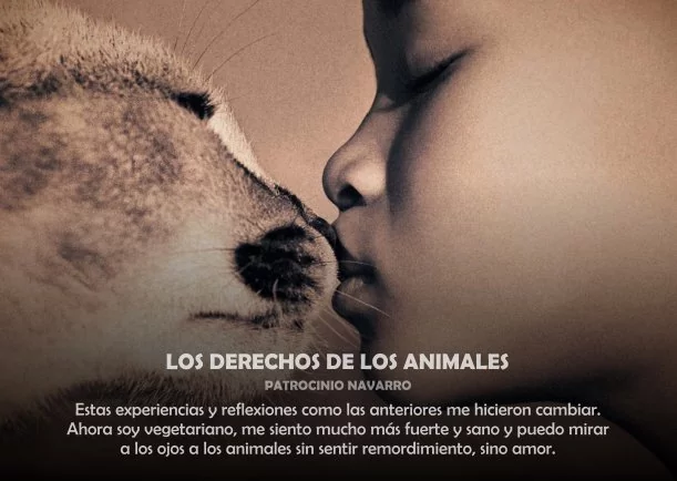 Imagen del escrito; Derechos de los animales, de Akashicos