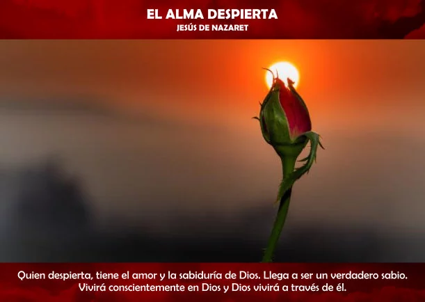 Imagen; El alma despierta; Sobre Jesus