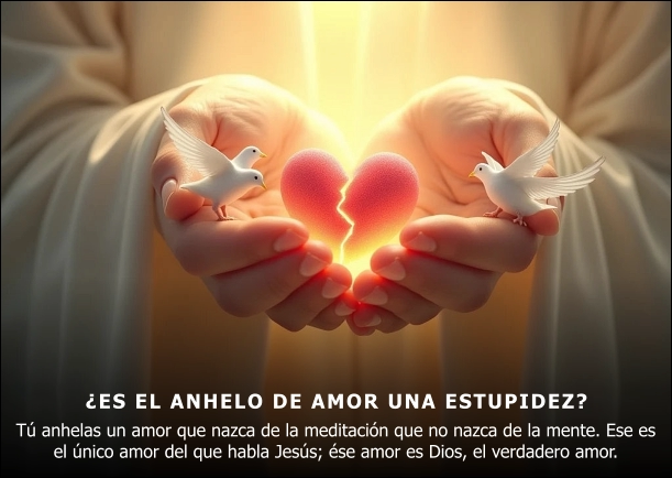 Imagen; ¿Es el anhelo de amor una estupidez?; Osho