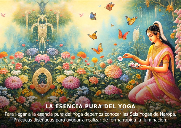 Imagen; La esencia pura del Yoga; Naropa