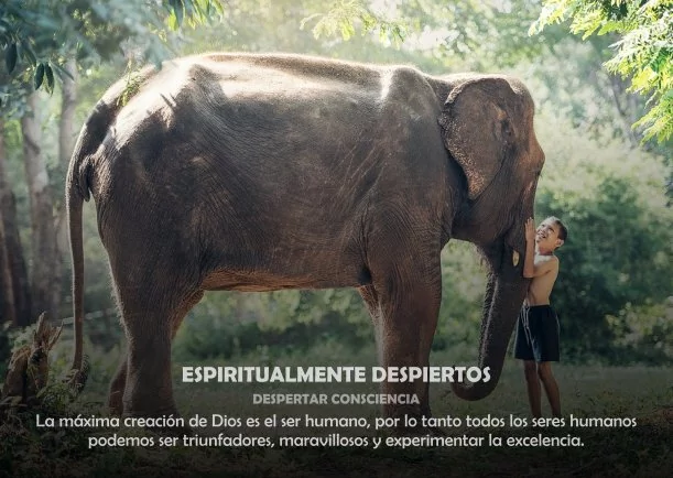 Imagen; Espiritualmente despiertos; Despertar Consciencia