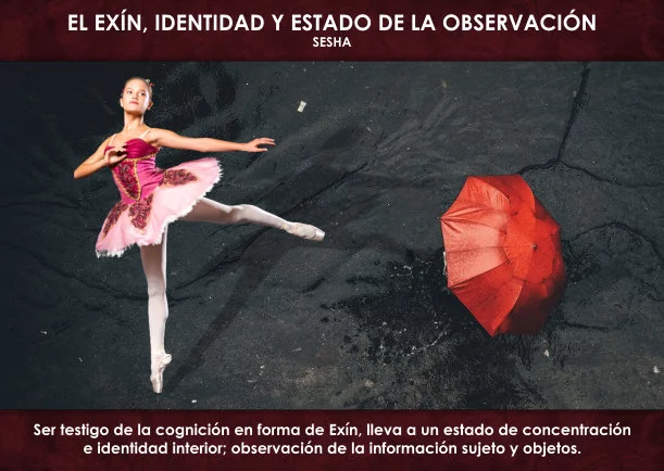 El Exin, identidad y estado de observar - POR: SESHA