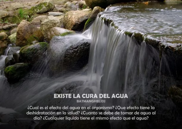 Imagen del escrito; Existe la cura del agua, de Batmanghelidj