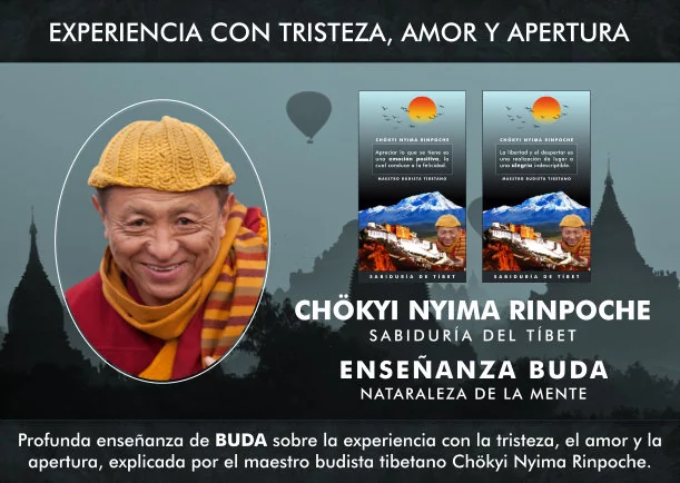Imagen del escrito; Experiencia con la tristeza, el amor y la apertura, de Chokyi Nyima Rinpoche