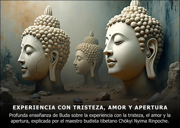 Imagen del escrito; Experiencia con la tristeza, el amor y la apertura, de Chokyi Nyima Rinpoche