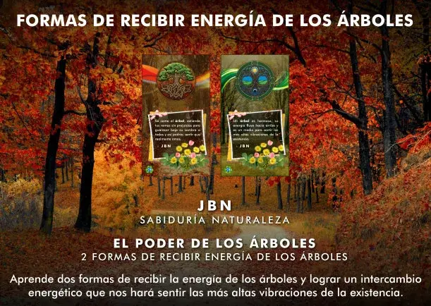 Imagen del escrito; Formas de recibir energía de los árboles, de Jbn Lie