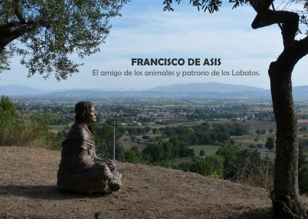 Biografía de Francisco de Asis - POR: FRANCISCO DE ASIS