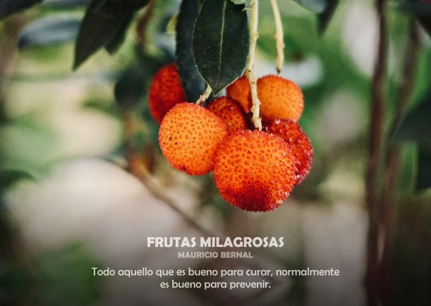 Imagen del escrito; Frutas milagrosas, de Akashicos