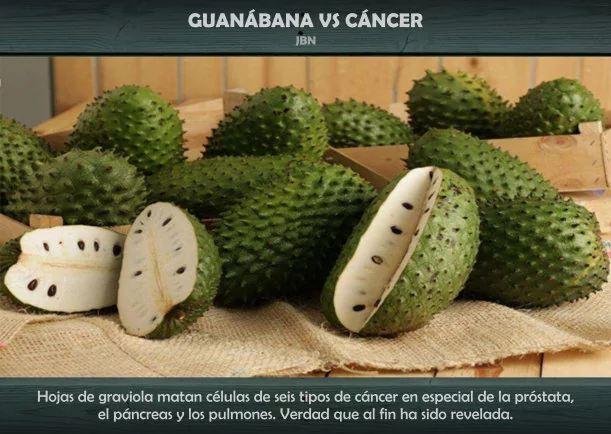 Imagen del escrito; Sanación: Guanábana contra cáncer, de Jbn Lie