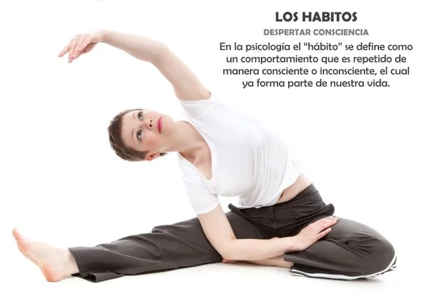 Imagen del escrito; Frases sobre los hábitos, de Jbn Lie