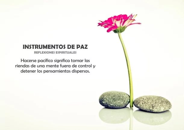 Imagen del escrito; Instrumentos de paz, de Brahma Kumaris