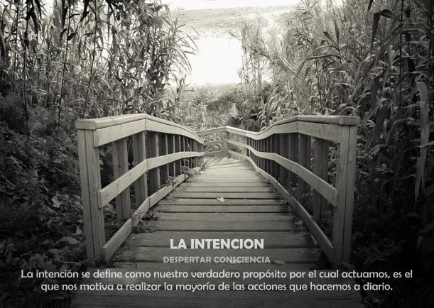 Imagen del escrito; Frases sobre la intención, de Jbn Lie