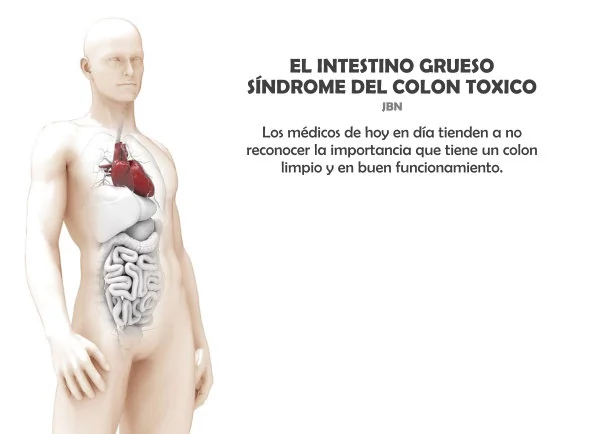 Imagen del escrito; El intestino grueso síndrome del colon toxico, de Jbn Lie
