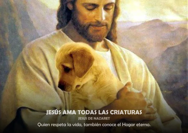 Imagen del escrito; Jesús ama todas las criaturas, de Sobre Jesus