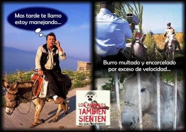 Imagen del escrito; El cuento del joven y el burro, de Jbn Lie