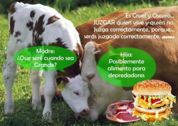 Juzgar quien vive o muere - POR: OSHO