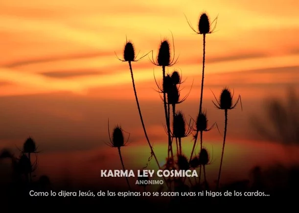 Imagen del escrito; El Karma y la ley cósmica, de Emmet Fox