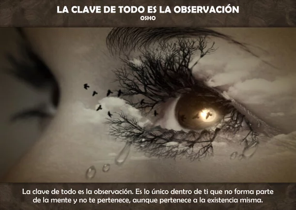 Imagen del escrito; La clave de todo es la observación, de Osho