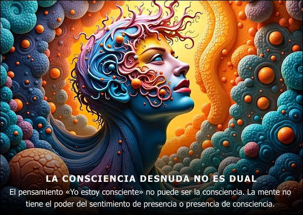 Imagen; La consciencia desnuda no es dual; Sailor Bob Adamson