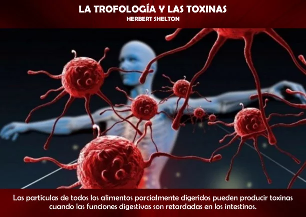 Imagen; La trofología y las toxinas; Herbert Shelton