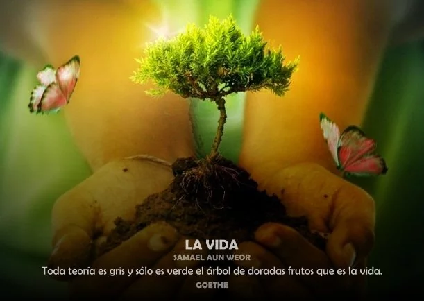 Imagen; Verde es el árbol de doradas frutos que es la vida; Samael Aun Weor