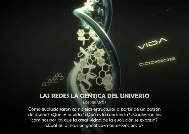 Imagen; Las redes la genética del universo; Sobre El Universo