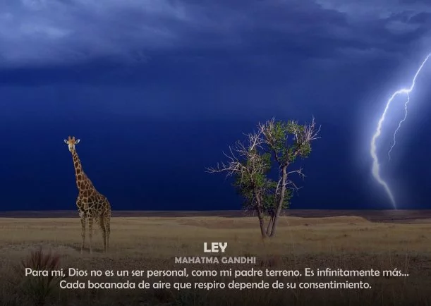 Ley percepción de Gandhi - POR: MAHATMA GANDHI