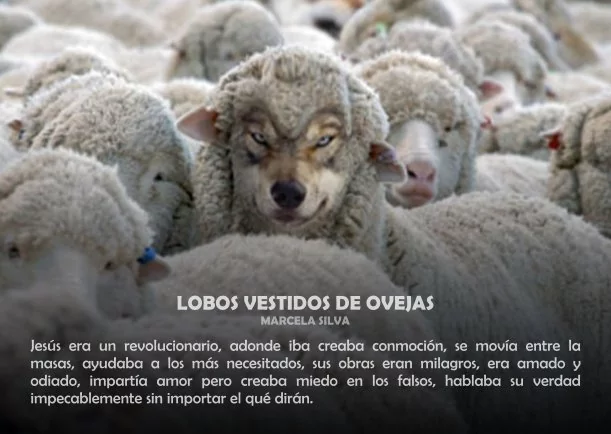 Reflexión: Lobos vestidos de ovejas - POR: OSHO
