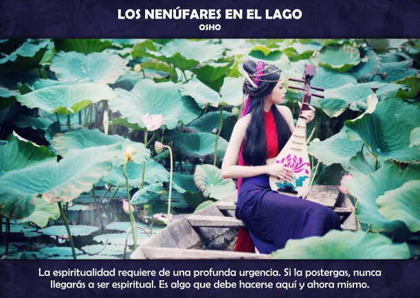 Imagen del escrito; Los nenúfares en el lago, de Osho