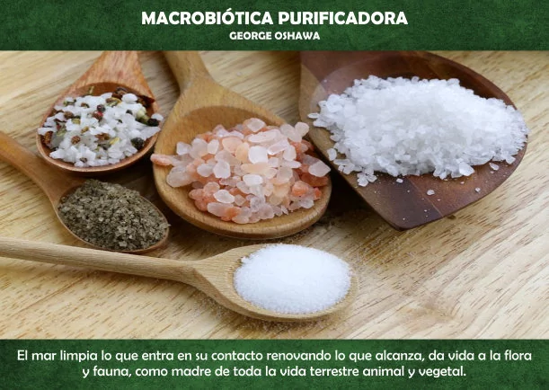 Imagen; Macrobiótica purificadora; George Ohsawa