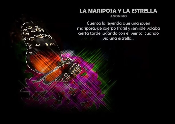 Imagen; La mariposa y la estrella; Jbn Lie