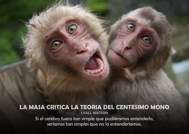 Imagen del escrito; La masa critica la teoría del centésimo mono, de Akashicos