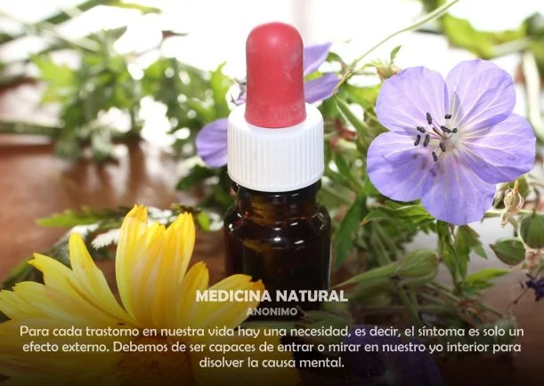 Imagen del escrito; Medicina natural, de Sobre La Naturaleza