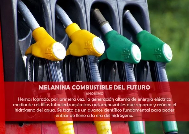 Imagen del escrito; Melanina combustible del futuro, de Jbn Lie