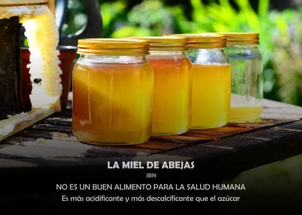 La miel de abejas - POR: JBN LIE