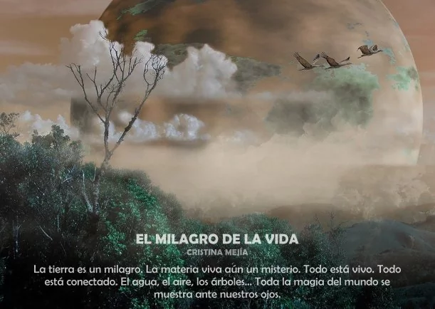 El milagro de la vida - POR: MIGUEL RUIZ