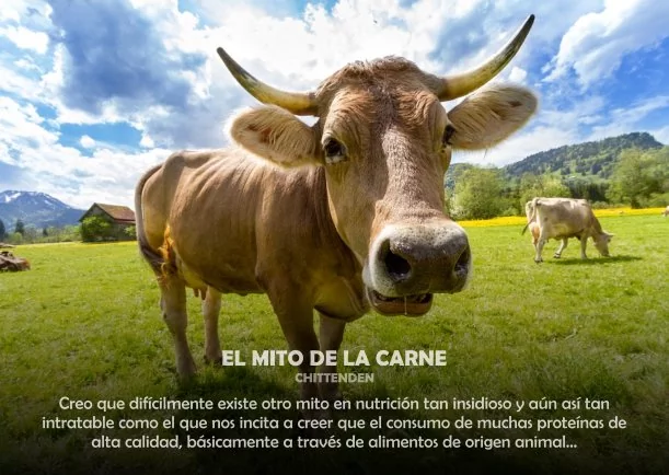 Imagen; El mito de la carne; Akashicos