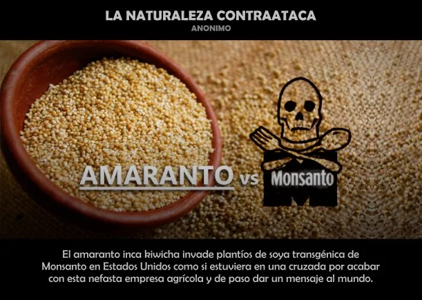 Imagen del escrito; La naturaleza contraataca, de Sobre La Naturaleza