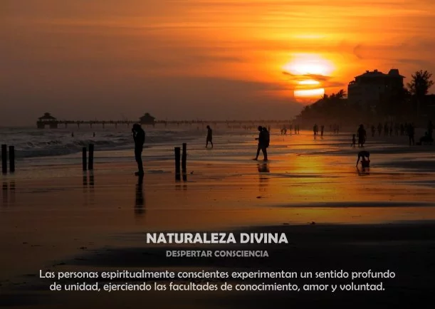 Imagen; Naturaleza divina; Despertar Consciencia