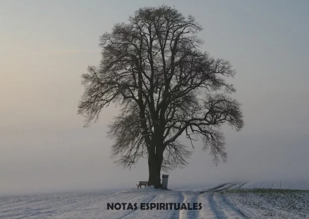 Imagen del escrito; Notas espirituales, de Gonzalo Gallo