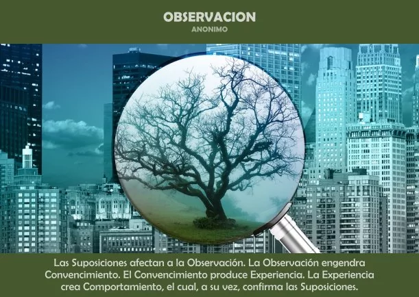 Imagen del escrito; Observación, de Anthony De Mello