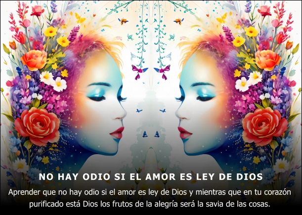 Imagen; No hay odio si el amor es ley de Dios; Mikhail Naimy