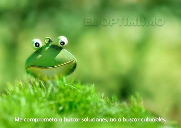 Imagen; El optimismo; Gonzalo Gallo