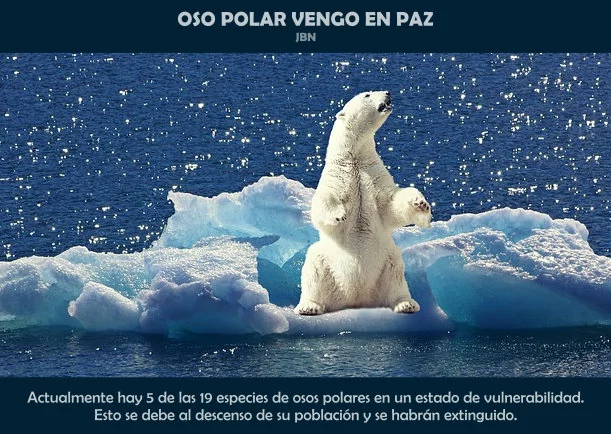 Imagen del escrito; Oso polar vengo en paz, de Jbn Lie